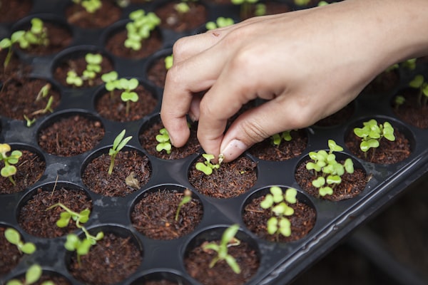 Drought-Resilient Farming Initiative